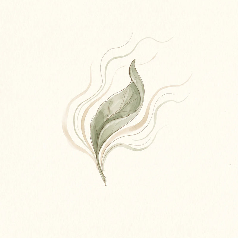 Polvo de matcha verde esmeralda junto a una ilustración simple de una hoja de té, representando el aminoácido L-teanina